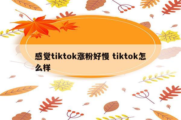 感觉tiktok涨粉好慢 tiktok怎么样