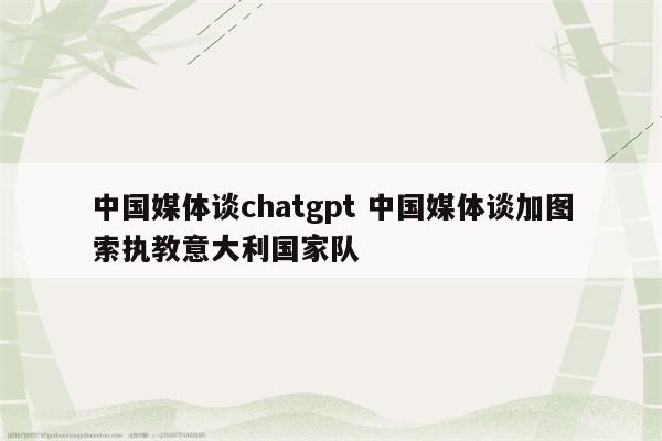 中国媒体谈chatgpt 中国媒体谈加图索执教意大利国家队
