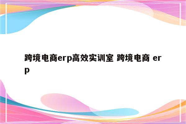 跨境电商erp高效实训室 跨境电商 erp
