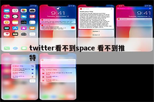 twitter看不到space 看不到推特