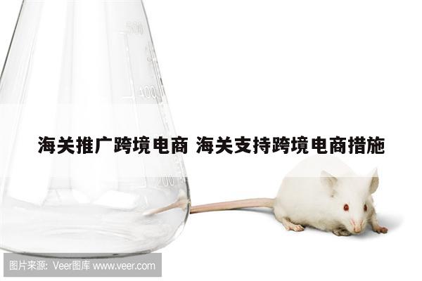 海关推广跨境电商 海关支持跨境电商措施