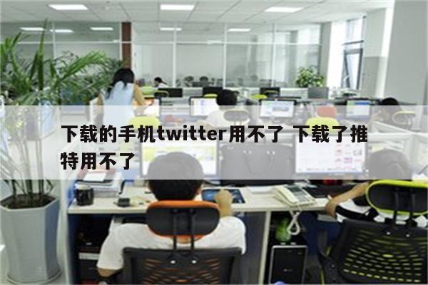 下载的手机twitter用不了 下载了推特用不了