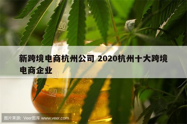 新跨境电商杭州公司 2020杭州十大跨境电商企业