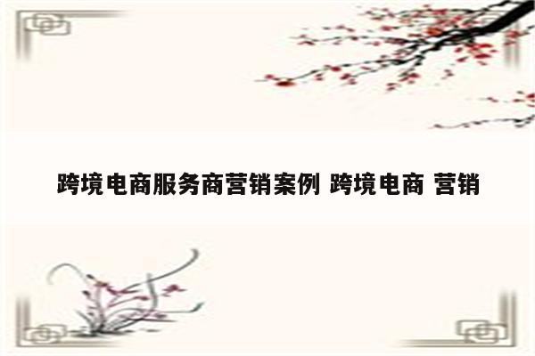 跨境电商服务商营销案例 跨境电商 营销