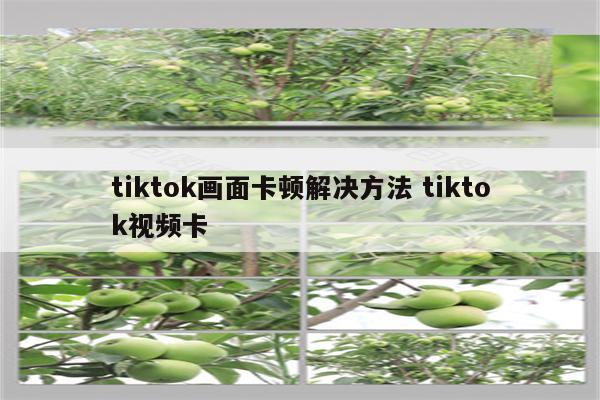 tiktok画面卡顿解决方法 tiktok视频卡