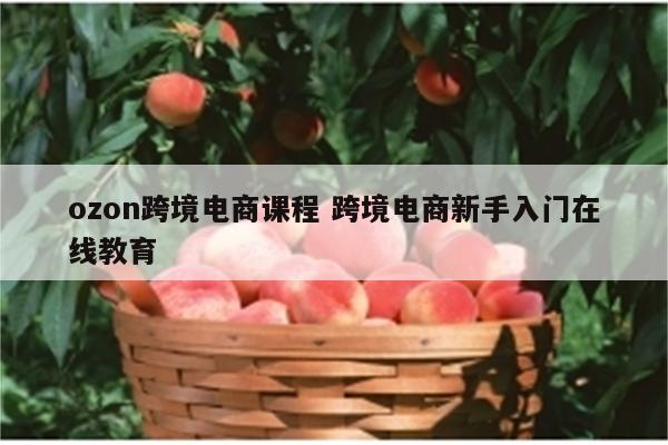 ozon跨境电商课程 跨境电商新手入门在线教育