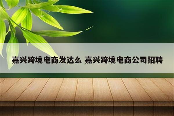 嘉兴跨境电商发达么 嘉兴跨境电商公司招聘