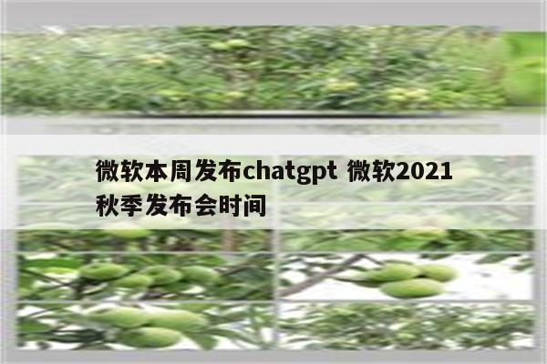 微软本周发布chatgpt 微软2021秋季发布会时间