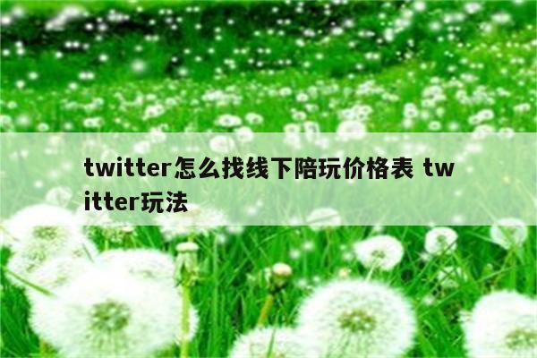 twitter怎么找线下陪玩价格表 twitter玩法