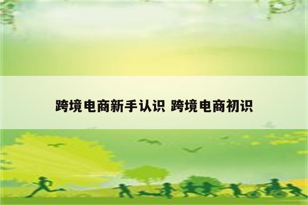 跨境电商新手认识 跨境电商初识