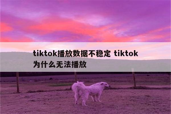 tiktok播放数据不稳定 tiktok为什么无法播放