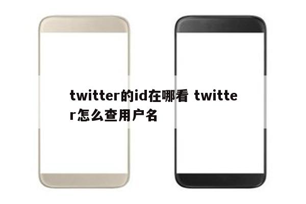 twitter的id在哪看 twitter怎么查用户名