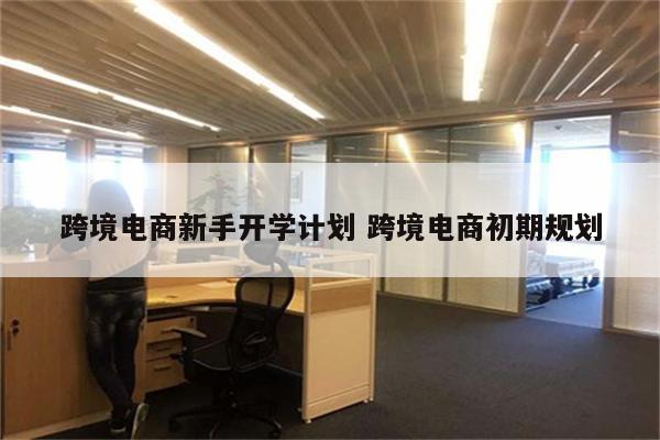 跨境电商新手开学计划 跨境电商初期规划