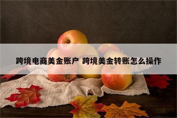 跨境电商美金账户 跨境美金转账怎么操作