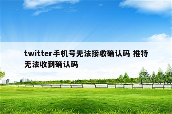 twitter手机号无法接收确认码 推特无法收到确认码