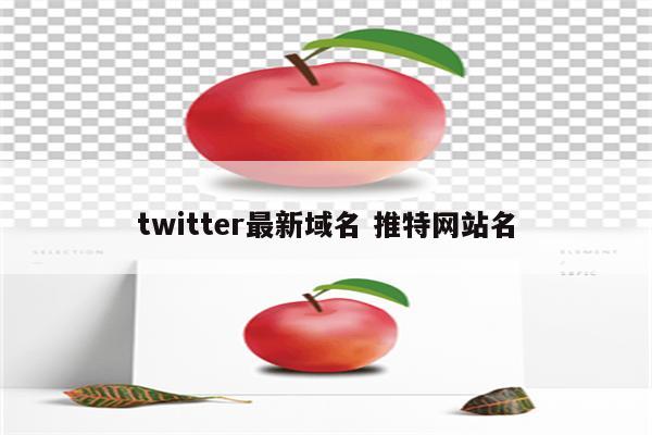 twitter最新域名 推特网站名