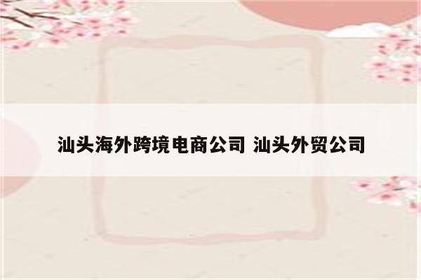 汕头海外跨境电商公司 汕头外贸公司