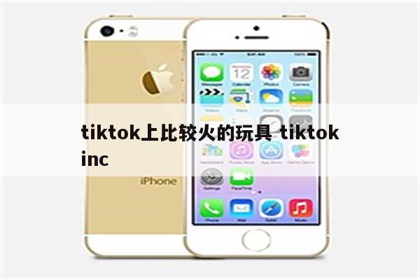 tiktok上比较火的玩具 tiktokinc