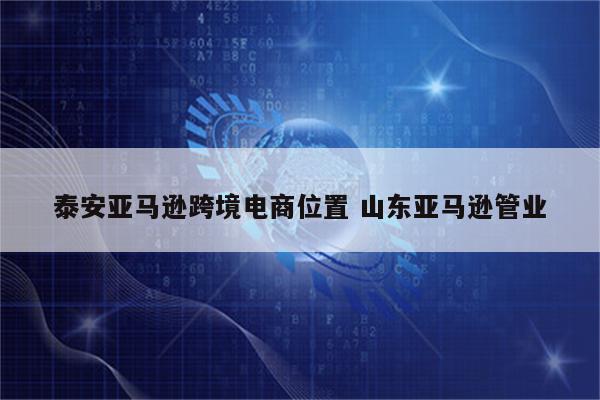 泰安亚马逊跨境电商位置 山东亚马逊管业