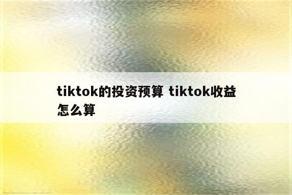 tiktok的投资预算 tiktok收益怎么算
