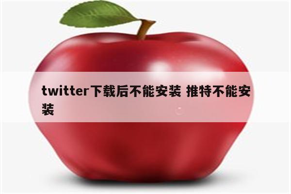 twitter下载后不能安装 推特不能安装