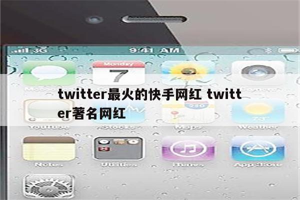 twitter最火的快手网红 twitter著名网红