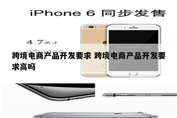 跨境电商产品开发要求 跨境电商产品开发要求高吗