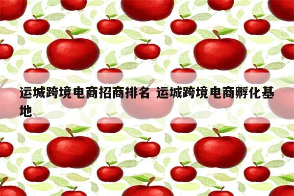 运城跨境电商招商排名 运城跨境电商孵化基地