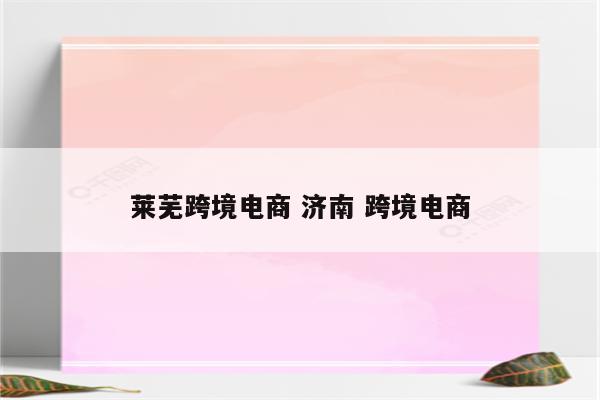 莱芜跨境电商 济南 跨境电商