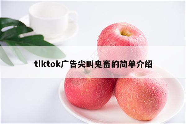 tiktok广告尖叫鬼畜的简单介绍