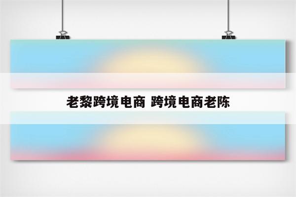 老黎跨境电商 跨境电商老陈