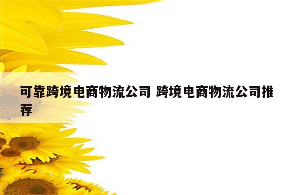 可靠跨境电商物流公司 跨境电商物流公司推荐