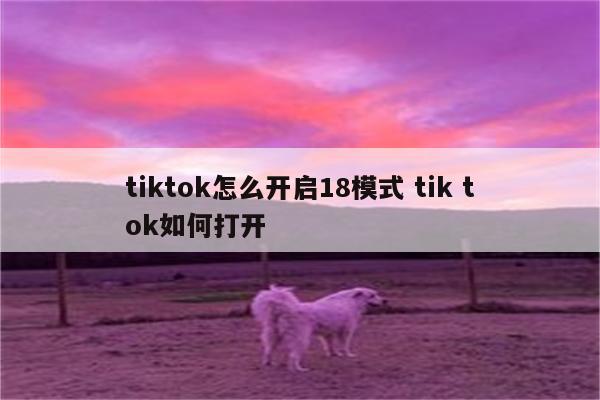 tiktok怎么开启18模式 tik tok如何打开