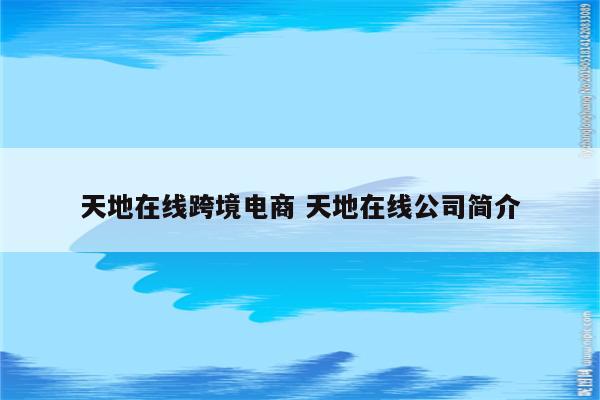 天地在线跨境电商 天地在线公司简介