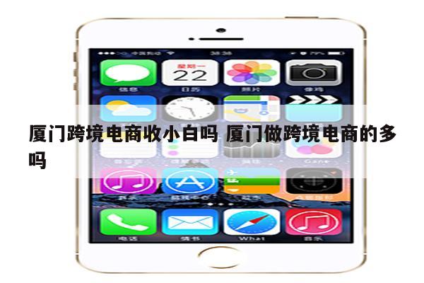 厦门跨境电商收小白吗 厦门做跨境电商的多吗