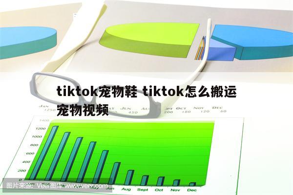 tiktok宠物鞋 tiktok怎么搬运宠物视频