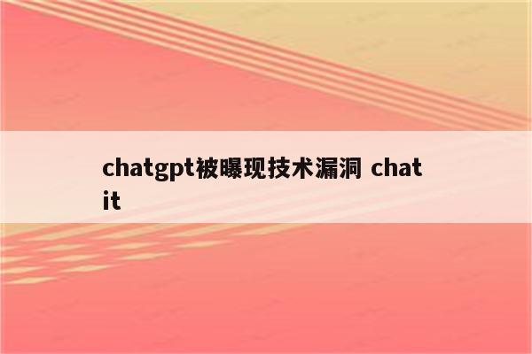 chatgpt被曝现技术漏洞 chat it