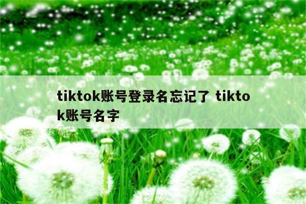 tiktok账号登录名忘记了 tiktok账号名字
