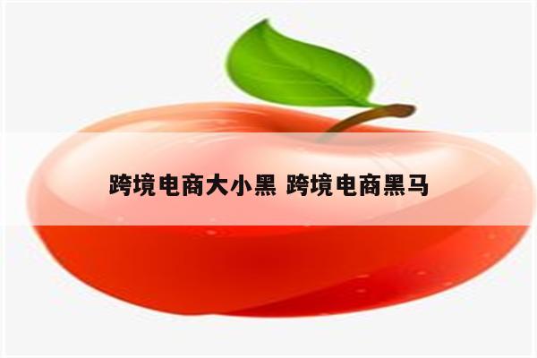 跨境电商大小黑 跨境电商黑马