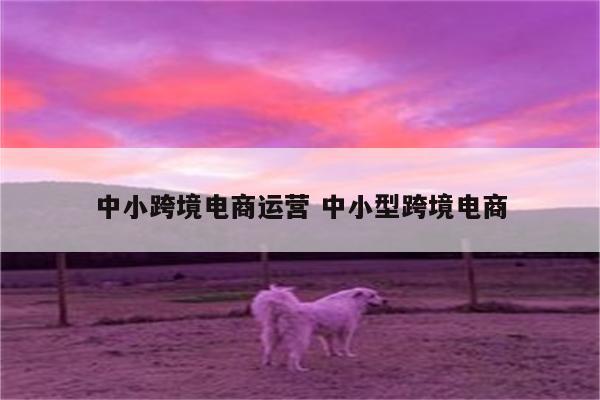 中小跨境电商运营 中小型跨境电商