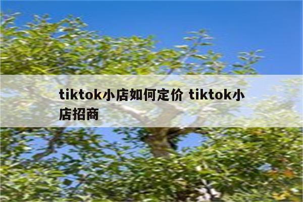 tiktok小店如何定价 tiktok小店招商