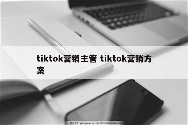tiktok营销主管 tiktok营销方案