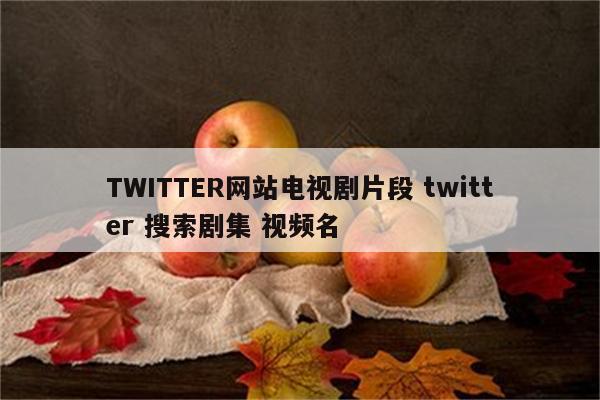TWITTER网站电视剧片段 twitter 搜索剧集 视频名