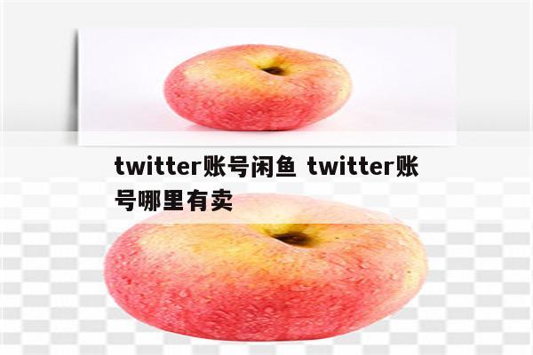 twitter账号闲鱼 twitter账号哪里有卖