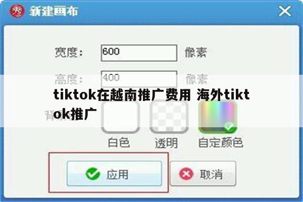 tiktok在越南推广费用 海外tiktok推广