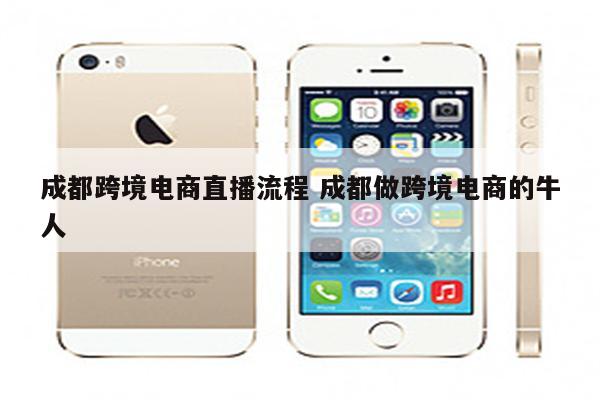 成都跨境电商直播流程 成都做跨境电商的牛人