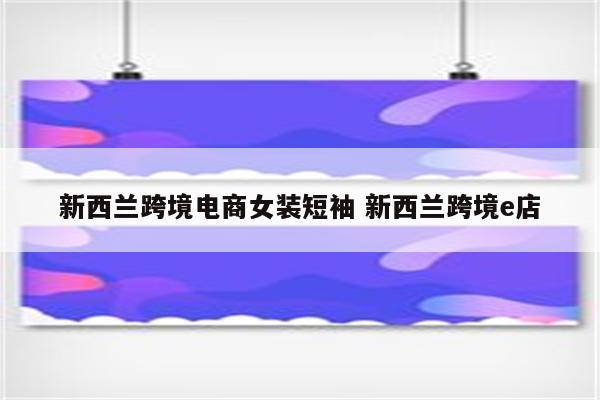新西兰跨境电商女装短袖 新西兰跨境e店