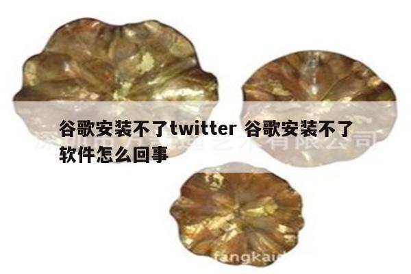 谷歌安装不了twitter 谷歌安装不了软件怎么回事