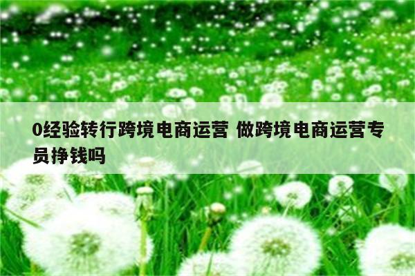 0经验转行跨境电商运营 做跨境电商运营专员挣钱吗