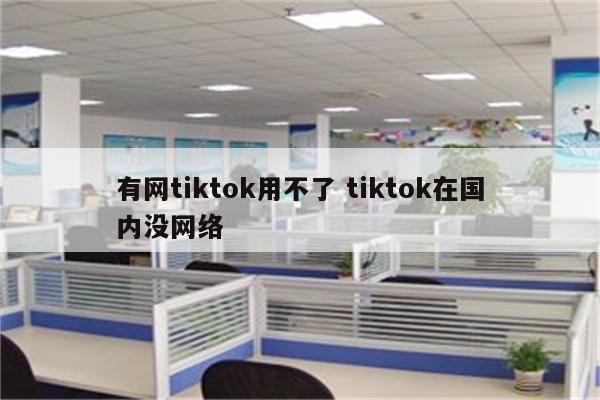 有网tiktok用不了 tiktok在国内没网络